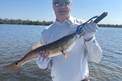 1_Punta-Gorda-Fishing-Charters