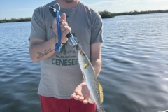 2_Charlotte-Harbor-Fishing-Charters