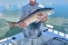 BOCA-GRANDE-FISHING-CHARTERS-55 BOCA-GRANDE-FISHING-CHARTERS-55