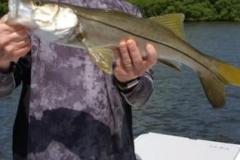 Boca-Grande-Inshore-Fishing-Charters