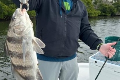 Charlotte-Harbor-FIshing-Charters-14