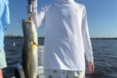 Charlotte-Harbor-Fishing-Charters-