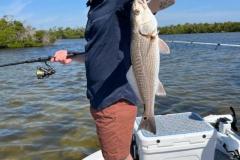 Charlotte-Harbor-Fishing-Charters-16