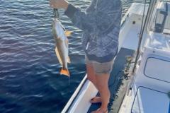 Charlotte-Harbor-Fishing-Charters-5 Charlotte-Harbor-Fishing-Charters-5
