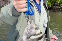 Charlotte-Harbor-Fishing-Charters-9 Charlotte-Harbor-Fishing-Charters-9