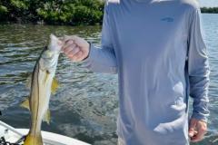 Charlotte-Harbor-Fishing-Charters
