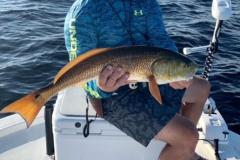 Englewood-Fishing-Charters-27 Englewood-Fishing-Charters-27