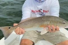 Englewood-Fishing-Charters