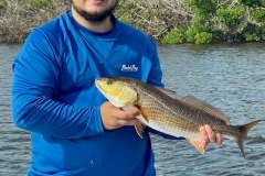 Fishing-Charter-Near-Boca-Grande