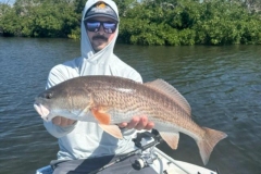 Fishing-Charter-Near-Manasota-Key-