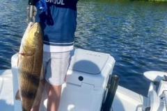 Fishing-Charters-In-Boca-Grande-1