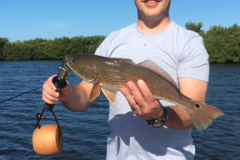 PALM ISLANDFISHING CHARTERS