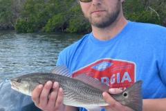 Gasparilla-Fishing-Charters-17 Gasparilla-Fishing-Charters-17