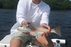 BOCA GRANDE INSHORE CHARTERS