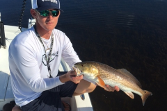 BOCA GRANDE INSHORE CHARTERS