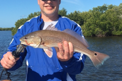 BOCA GRANDE CHARTER FISHING