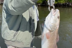 Punta-Gorda-Fishing-Charters-19