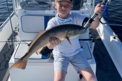 Redfish-In-Boca-Grande