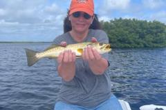 Seatrout-On-The-Flats-Of-Little-Gasparilla-Island