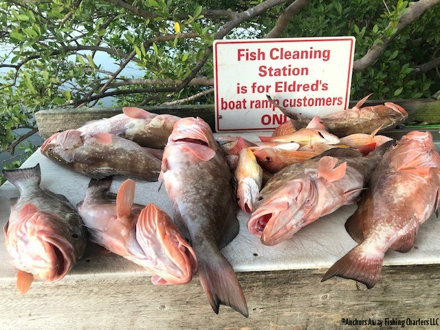 PLACIDA FISHING CHARTERS