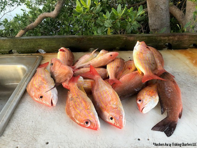 PUNTA GORDA FISHING CHARTERS