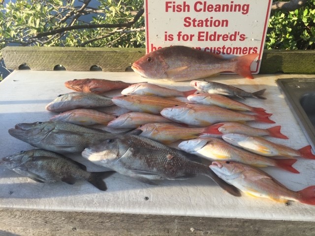 BOCA GRANDE OFFSHORE FISHING CHARTERS