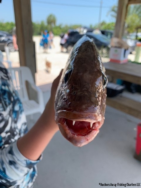 Placida Fishing Charters