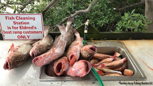 PLACIDA FISHING CHARTERS