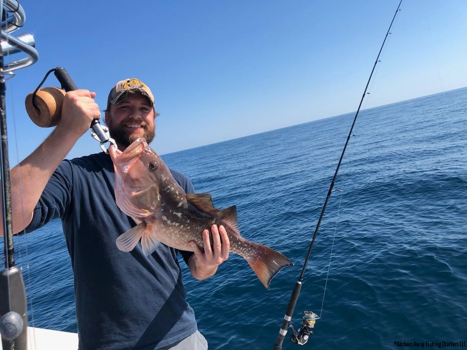 Placida Fishing Charters