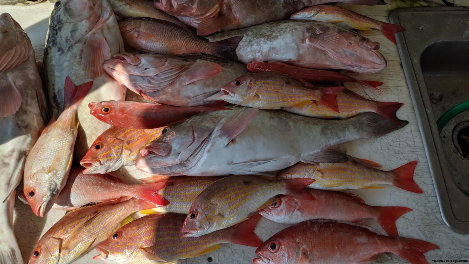 Boca Grande Fishing Charters