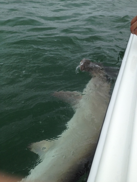 FISHING CHARTERS