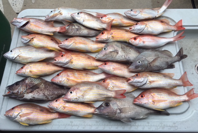BOCA GRANDE FISHING CHARTERS