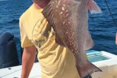 Gasparilla Fishing Charters