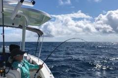 Englewood Fishing Charters
