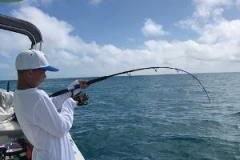 Placida Fishing Charters