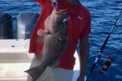 Placida Fishing Charters