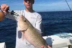 Venice FL Fishing Charters