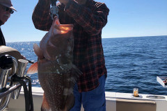ENGLEWOOD FISHING CHARTERS