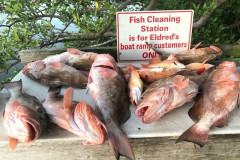PLACIDA FISHING CHARTERS