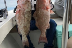 Boca Grande Fishing Charters Placida Fishing Charters Boca Grande Offshore Fishing Englewood Fishing Charters Venice Fishing Charters