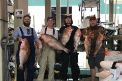 BOCA GRANDE FISHING CHARTERS