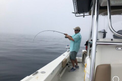 Placida Fishing Charters