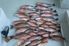 Placida Fishing Charters