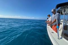 Boca Grande Fishing Charters Placida Fishing Charters Boca Grande Offshore Fishing Englewood Fishing Charters Venice Fishing Charters