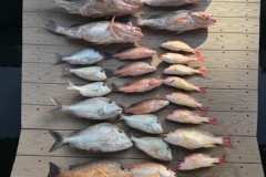 1_Palm-Island-Fishing-Charters