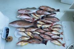 1_Placida-Fishing-Charters