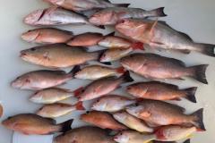 Boca Grande Fishing Charters