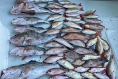 2_Offshore-Fishing-In-Boca-Grande