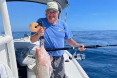 Red Grouper