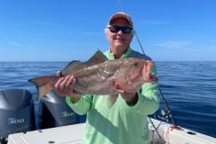 How to catch Grouper